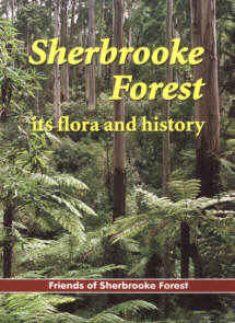 bookcoversherbrookeforest.jpg