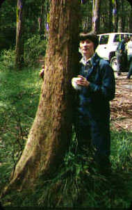 Vivien Freshwater hugging a tree